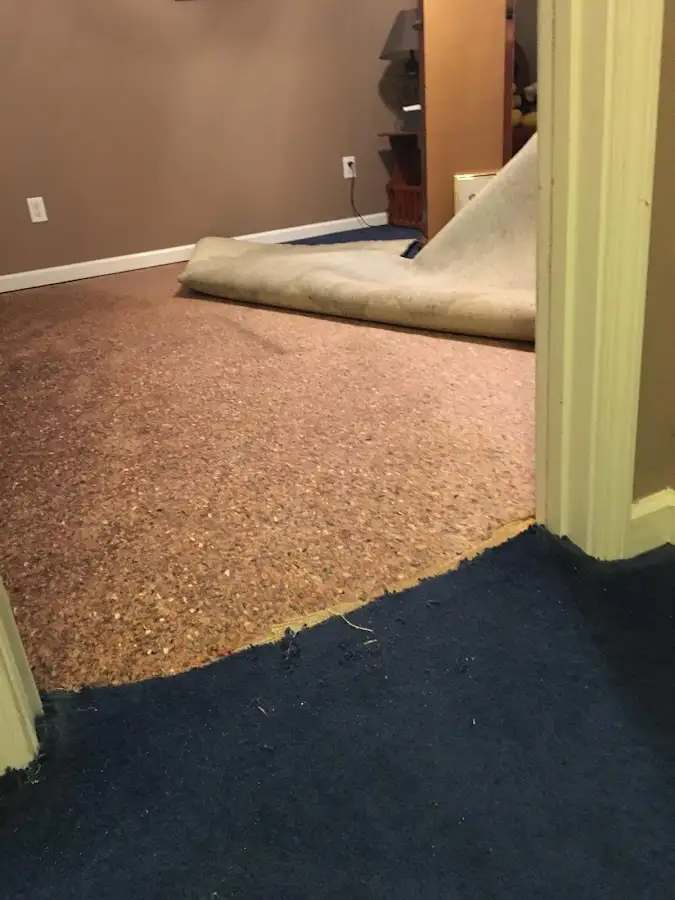 Carpet pad removal revealing water damage during Drying & Dehumidification in Parker