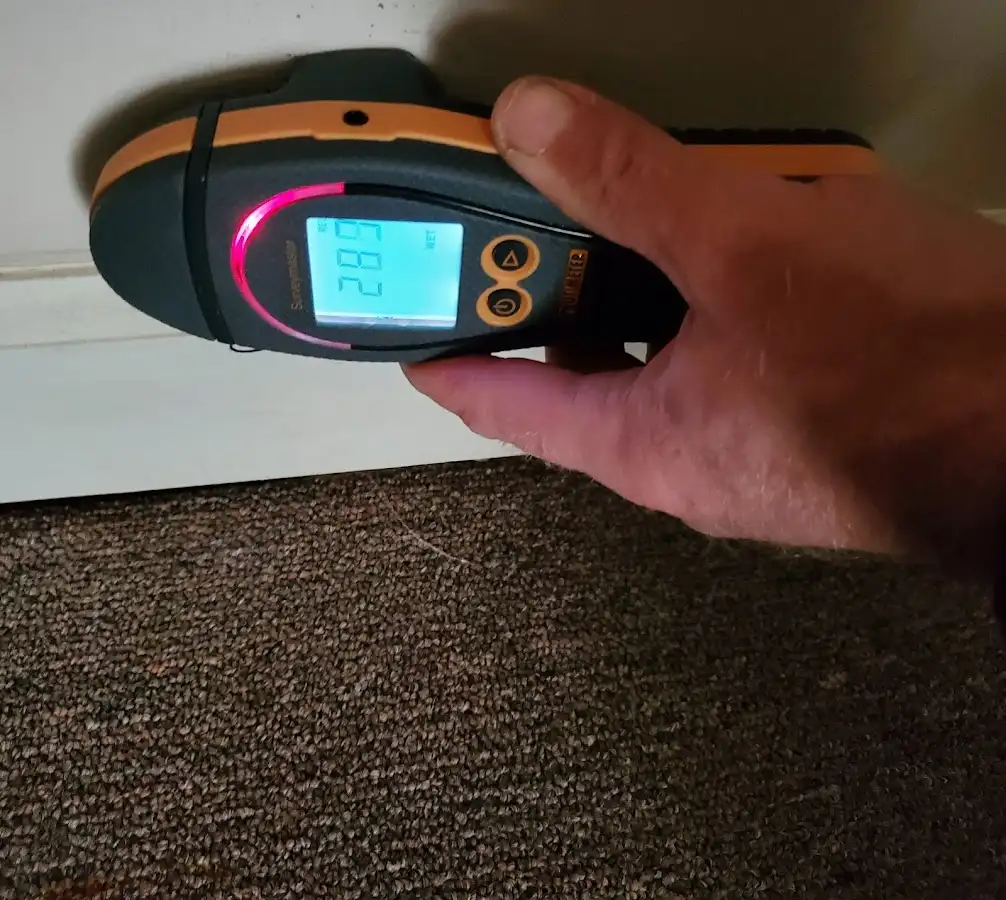 Moisture detection at baseboard during Mold Inspection & Testing in Parker